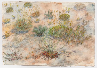 View works from Animal Architecture: Deep Time