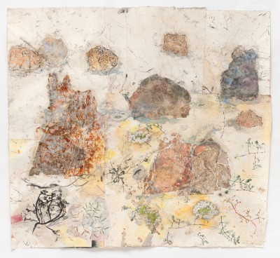 Animal Architecture: Deep Time Animal Architecture: Deep Time